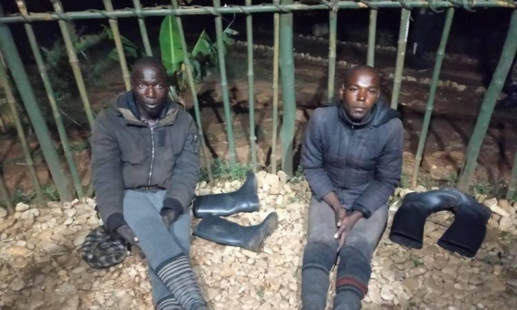 Deux hommes se retirent du groupe armé Makanika pour rejoindre le rang de l'armée Congolaise