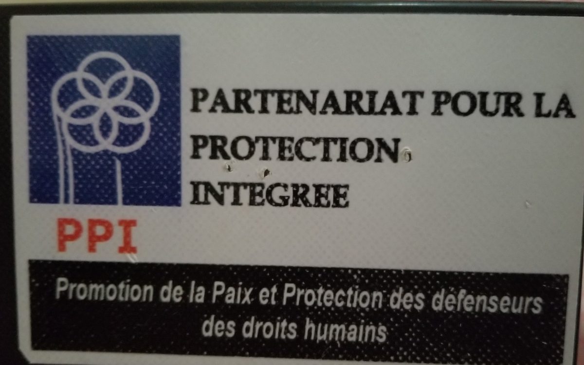 Logo de PPI