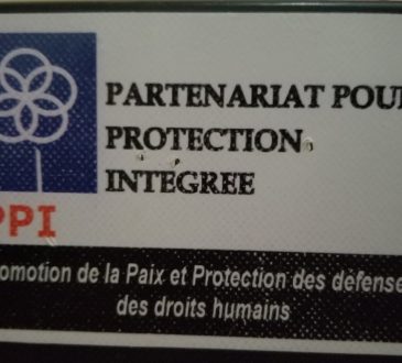 Logo de PPI