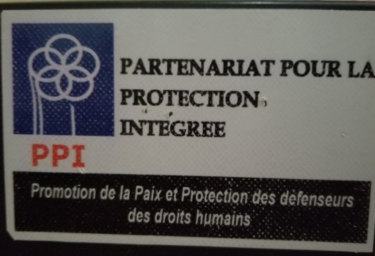 Logo de PPI