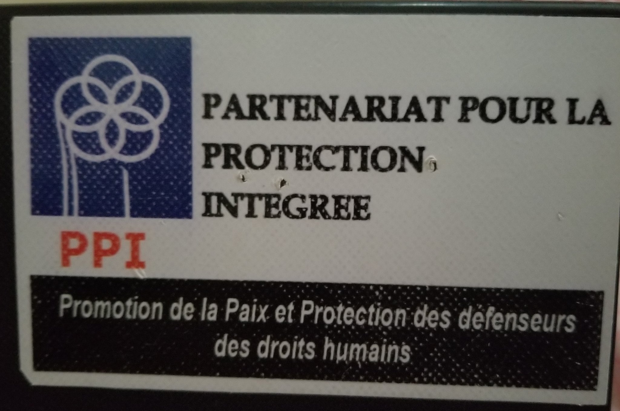 Logo de PPI